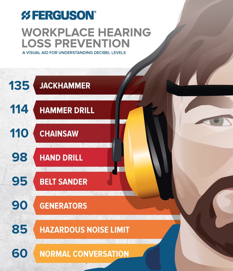 Ferguson hearing safety chart