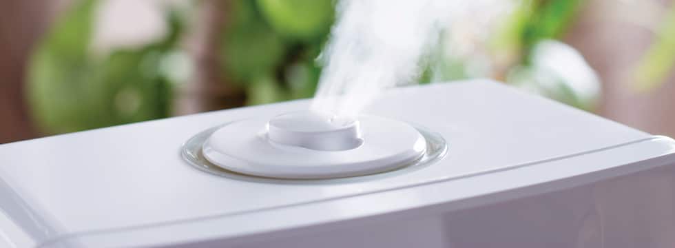 Steam rises from a white humidifier.